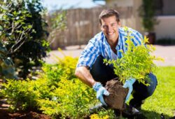 Pourquoi recourir à un jardinier paysagiste ?