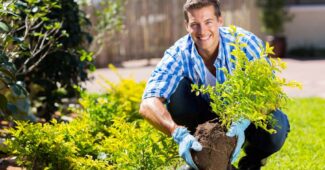 Pourquoi recourir à un jardinier paysagiste ?
