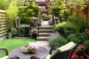 Choisir des plantes adaptées à votre jardin